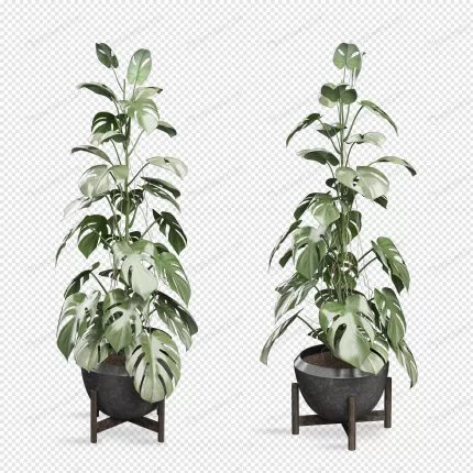 monstera plant pot 3d rendering 3 crcbd81262b size7.91mb - title:graphic home - اورچین فایل - format: - sku: - keywords: p_id:353984