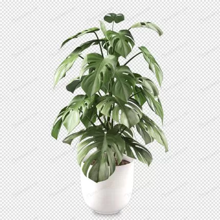monstera plant pot 3d rendering 5 crc9a0311b4 size7.02mb - title:graphic home - اورچین فایل - format: - sku: - keywords: p_id:353984
