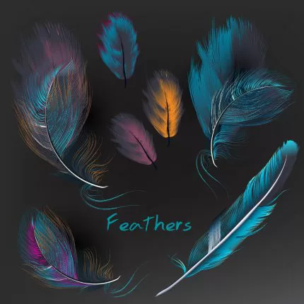 multicolor feathers collection crc4bdd3f7b size23.06mb - title:graphic home - اورچین فایل - format: - sku: - keywords: p_id:353984