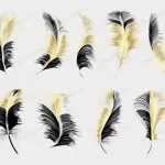 set different falling fluffy twirled feathers whi crc62a6c8ba size15.35mb - title:Home - اورچین فایل - format: - sku: - keywords:وکتور,موکاپ,افکت متنی,پروژه افترافکت p_id:63922