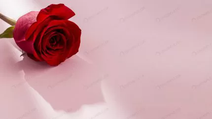 close up view valentine s day concept with roses crc31c22a2d size1.20mb 6485x3648 - title:Home - اورچین فایل - format: - sku: - keywords:وکتور,موکاپ,افکت متنی,پروژه افترافکت p_id:63922