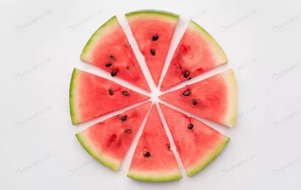 pieces watermelon circle crc23a6f0e6 size5.50mb 5952x3756 - title:Home - اورچین فایل - format: - sku: - keywords:وکتور,موکاپ,افکت متنی,پروژه افترافکت p_id:63922